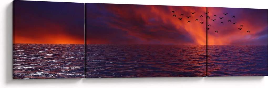 Obraz morza z ptakami (170x50 cm)