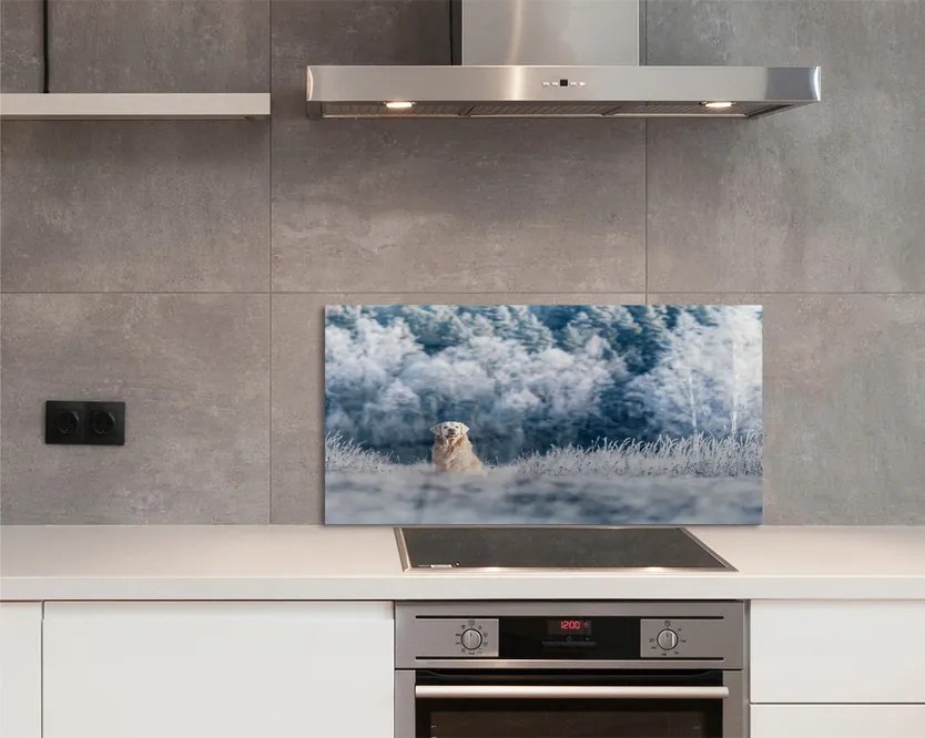 Szklany Panel Pies w Zimowych Górach