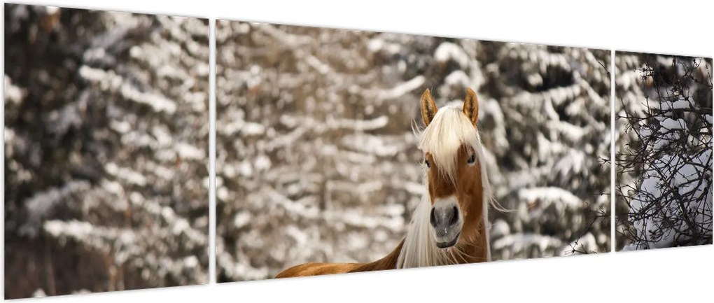 Obraz - Koń w zimowym krajobrazie (170x50 cm)