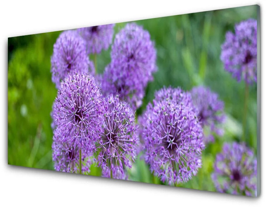 Panel Szklany do Kuchni Fioletowe Kwiaty Łąka