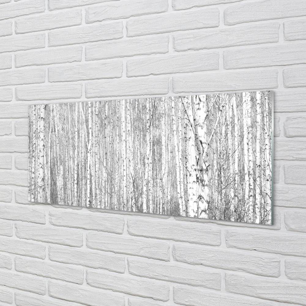 Panel szklany do Kuchni Czarno-Biały Bór Leśny