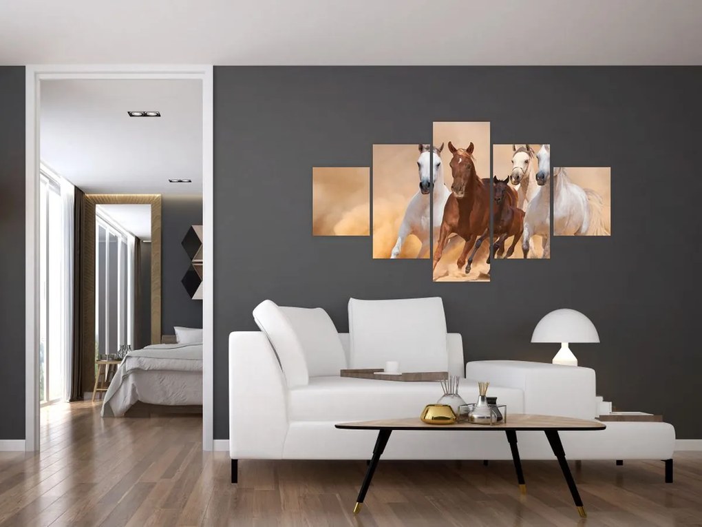 Obraz - Stado koni (125x70 cm)