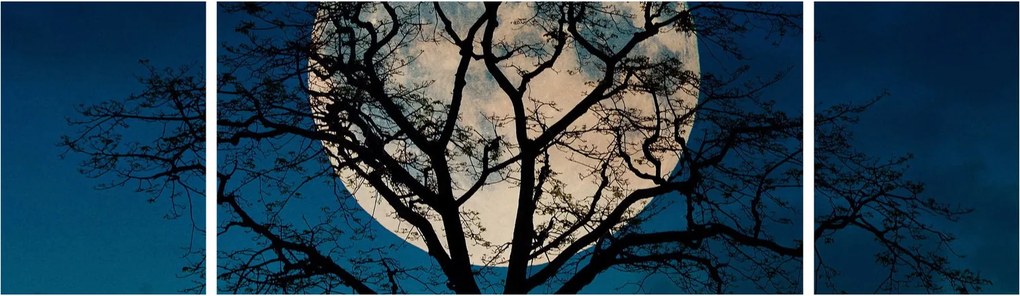 Obraz drzewa z pełnią księżyca (170x50 cm)