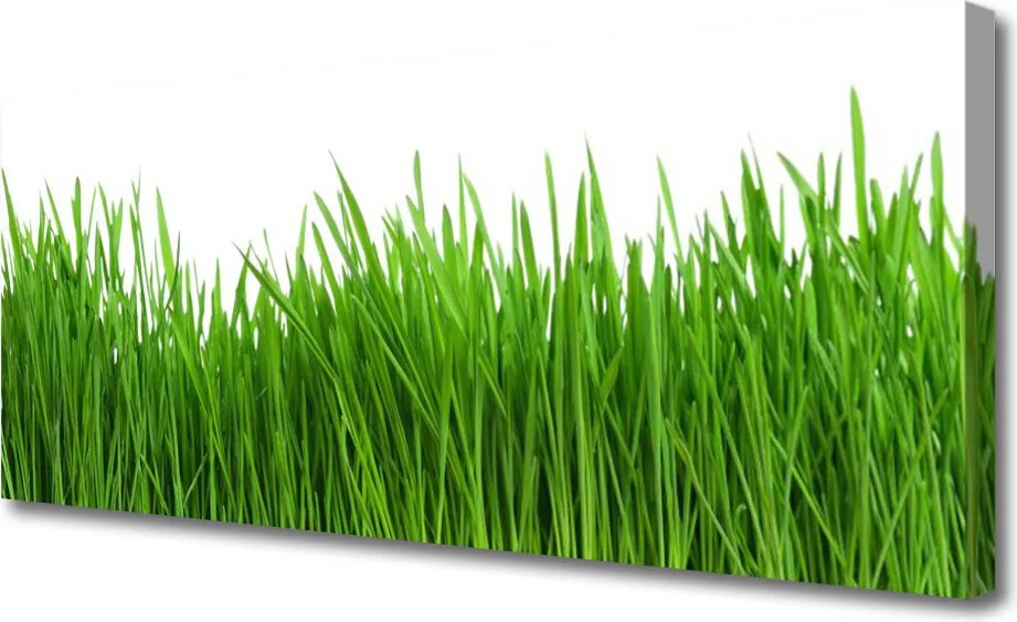 Fotoobraz na płótnie Naturalny Dywan Zieleni