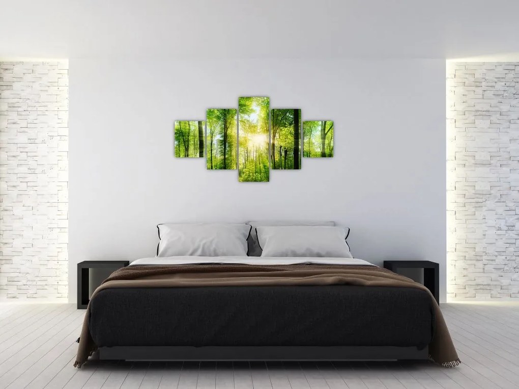Obraz - Świt w lesie (125x70 cm)