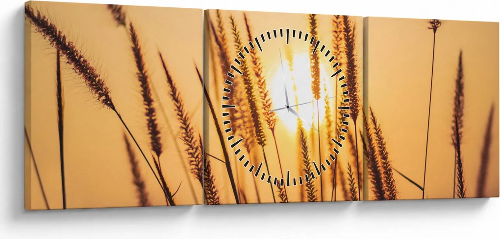 Obraz - Trawa w słońcu (z zegarem) (90x30 cm)