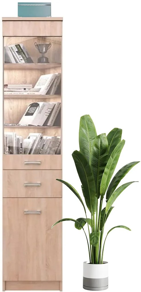 Wysoka witryna dąb sonoma T9-H24