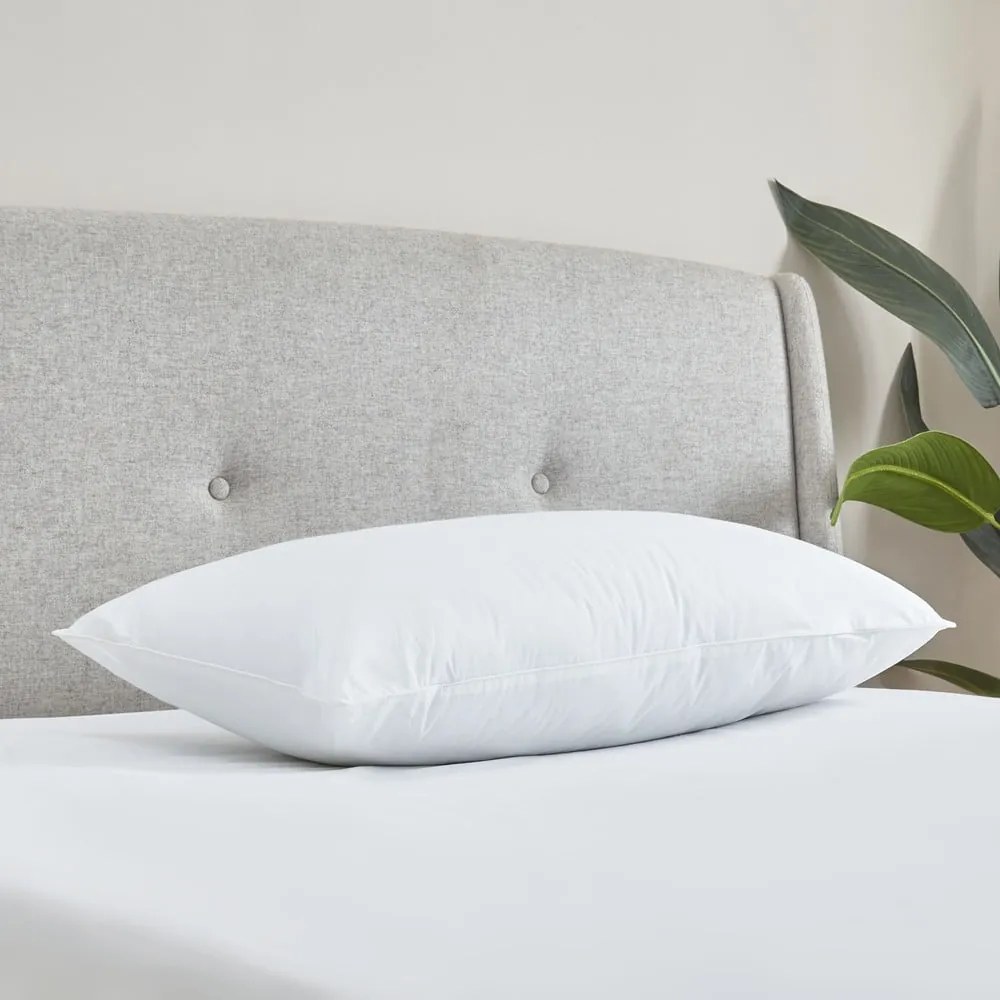 Poduszka 74x48 cm Cotton Spring – Catherine Lansfield