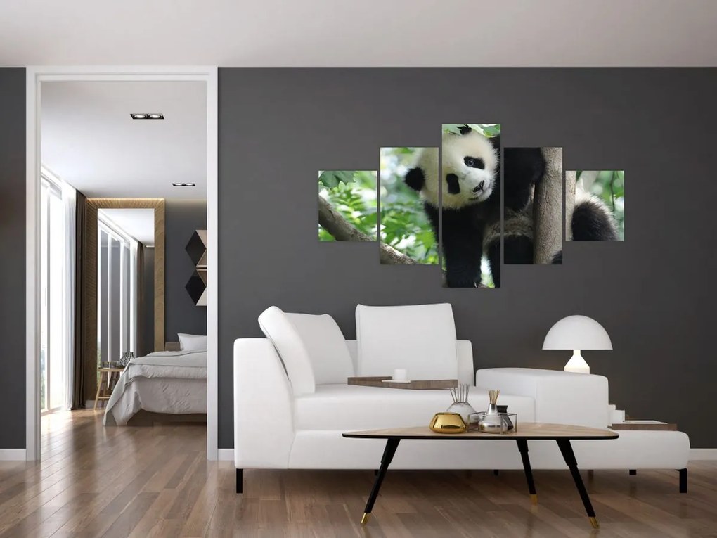 Obraz - Panda na drzewie (125x70 cm)