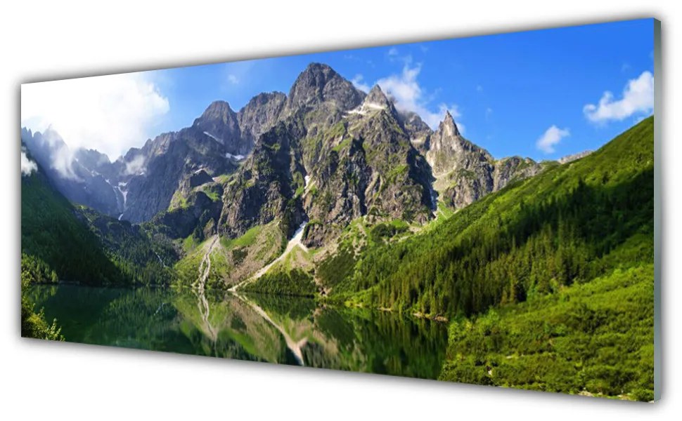 Obraz Szklany Tatry Góry Morskie Oko Las