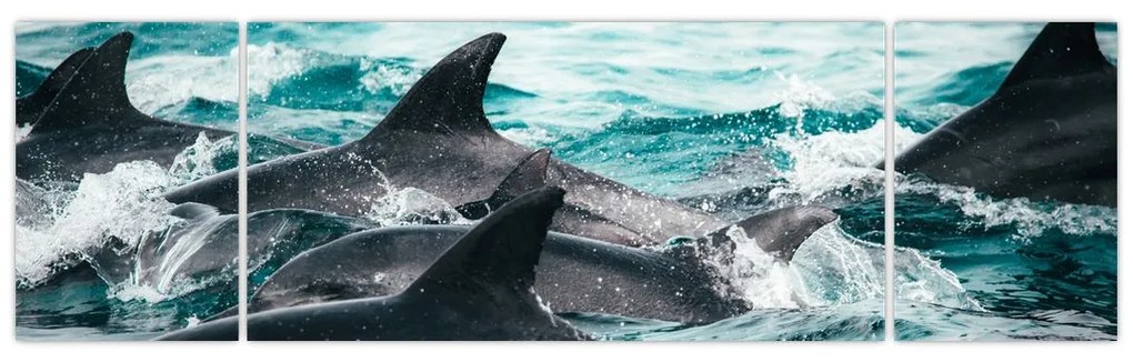 Obraz - Delfiny w oceanie (170x50 cm)