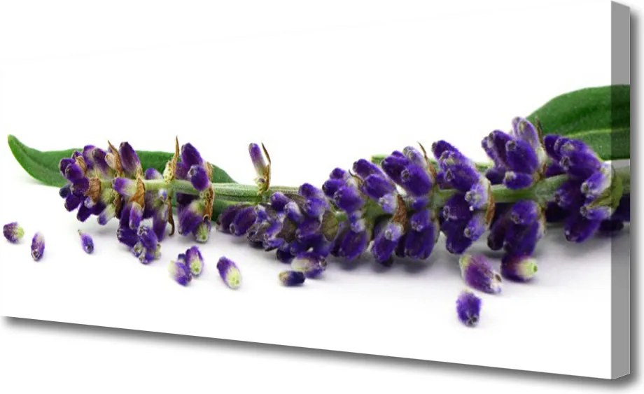 Obraz canvas Rustykalny Bukiet Lawendy