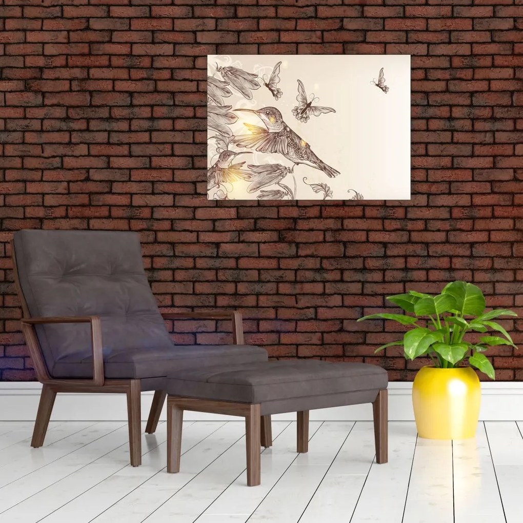 Obraz - Kolibry (70x50 cm)