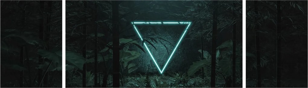 Obraz - Neonowy trójkąt w dżungli (170x50 cm)
