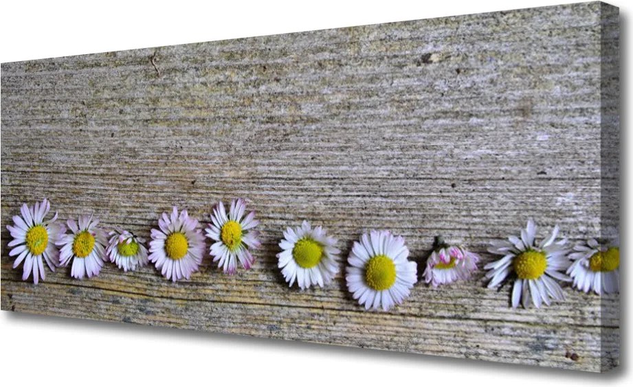 Obraz canvas Śnieżnobiała Stokrotka w Trawie