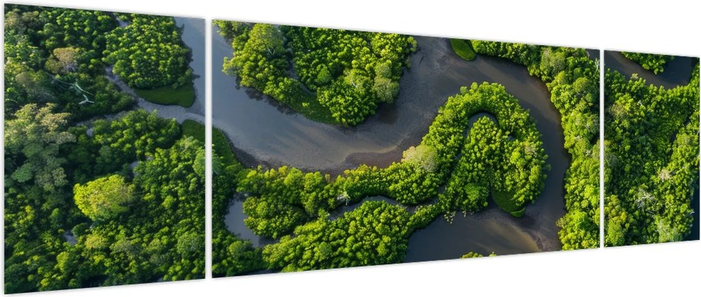 Obraz - Krajobraz leśny z rzeką (170x50 cm)