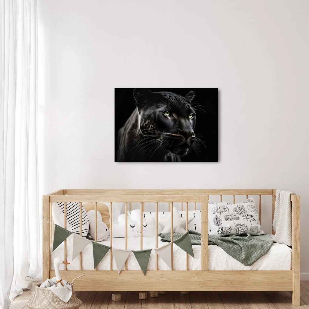 Obraz - Czarna Pantera (70x50 cm)