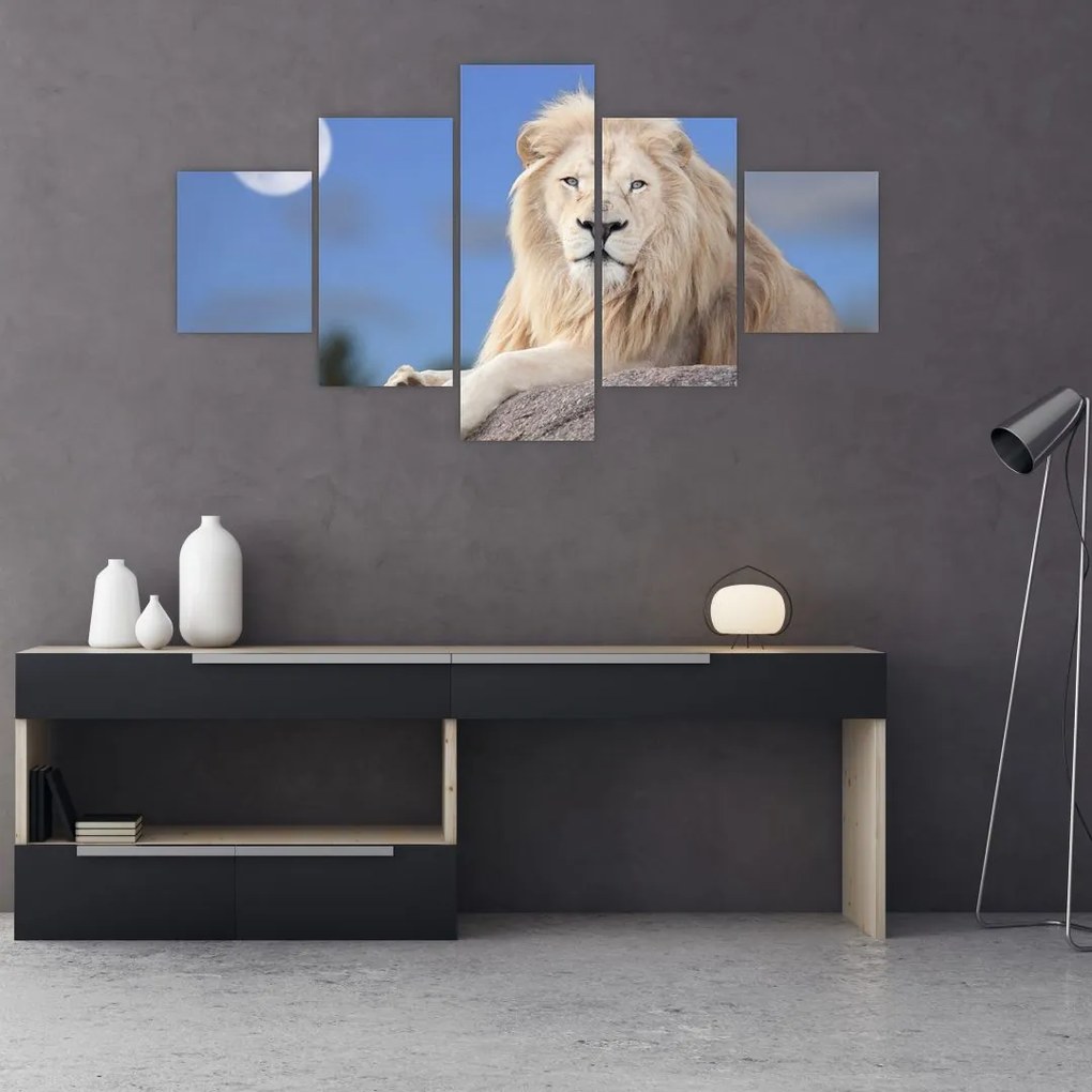 Obraz - Biały lew (125x70 cm)