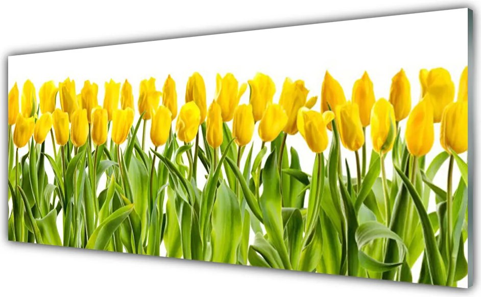Panel Szklany Tulipany w Porannym Słońcu