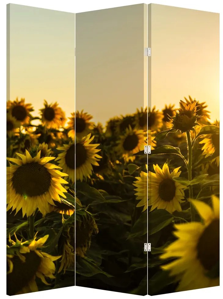 Parawan - Pole słoneczników (126x170 cm)