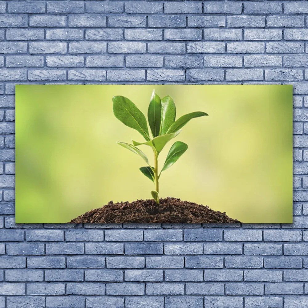 Obraz na płótnie Narodziny Życia: Młody Pęd