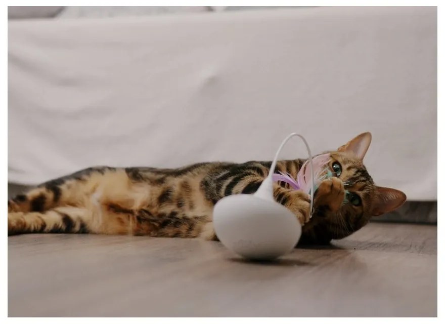 Zabawka dla kota Epic Pet Interactive – Plaček Pet Products