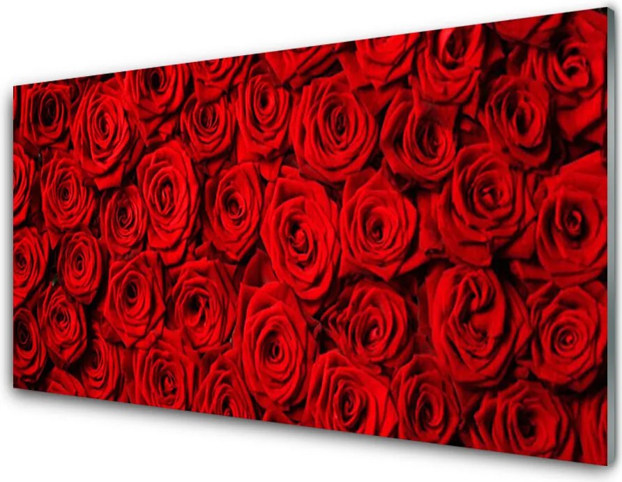 Panel Kuchenny Królewskie Róże Ścienne