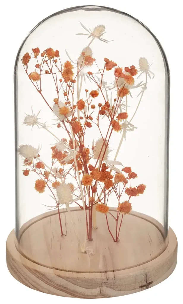 Suszone kwiaty pod szklaną kopułą FLOWER BELL, wysokość 17 cm Kolor: Pomarańczowy