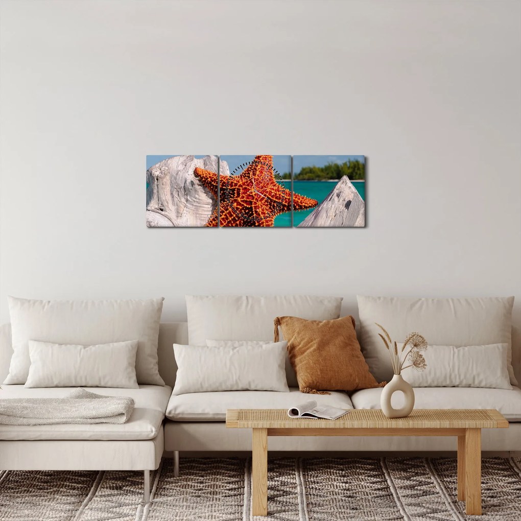 Obraz rozgwiazdy (z zegarem) (90x30 cm)
