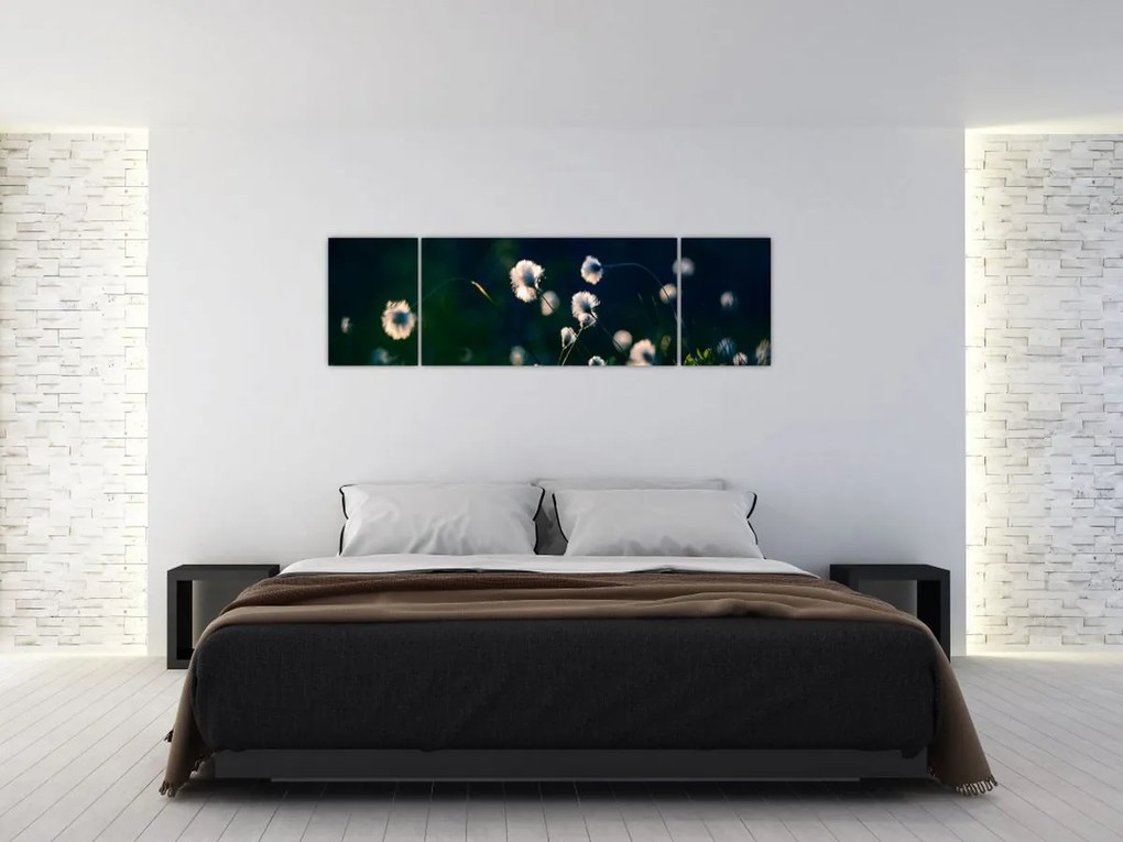 Obraz - Trawa (170x50 cm)