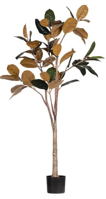 Sztuczny fikus (wysokość 170 cm) – WOOOD