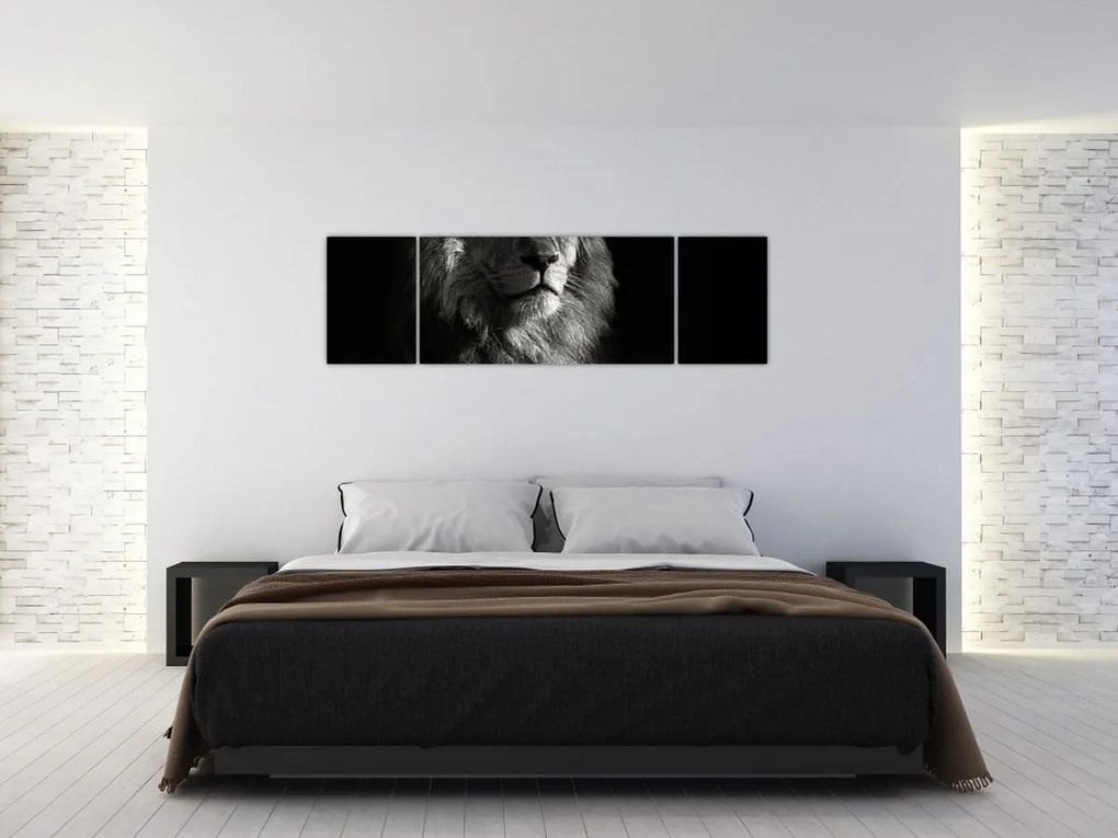 Obraz - Lew (170x50 cm)
