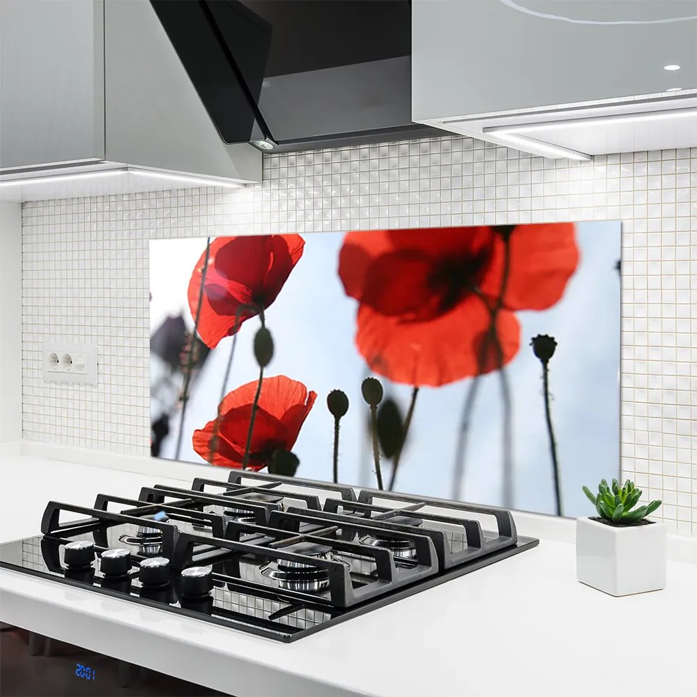 Panel Kuchenny Polne Maki W Rozkwicie