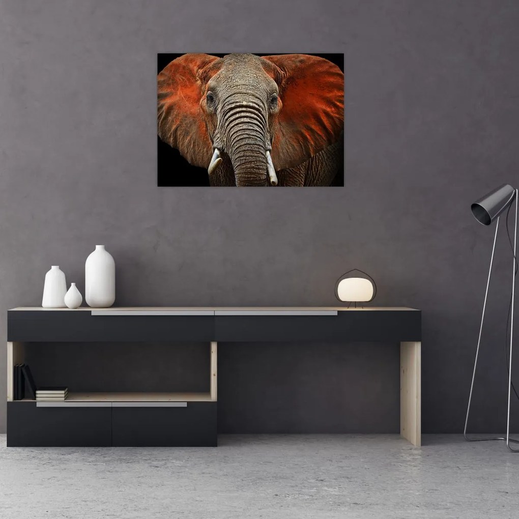 Obraz na szkle - Słonie z Tsavo (70x50 cm)