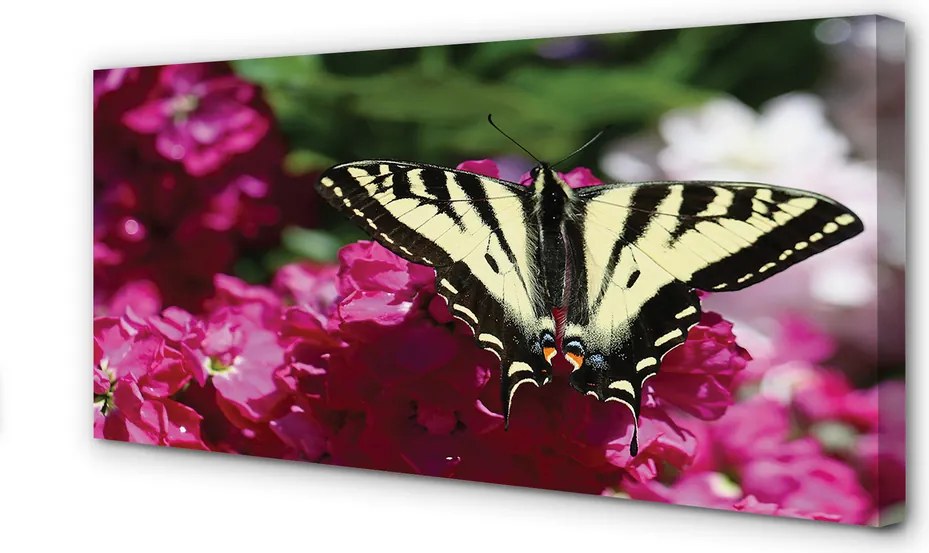Obraz canvas na ścianę Kwiaty i Motyl