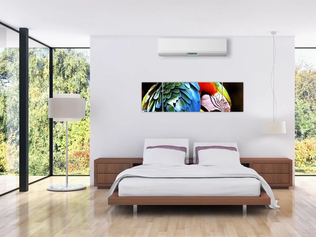 Obraz - Papuga (170x50 cm)