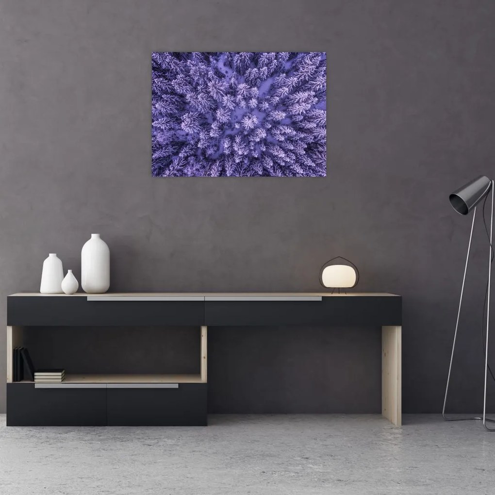 Obraz ośnieżonych drzew (70x50 cm)