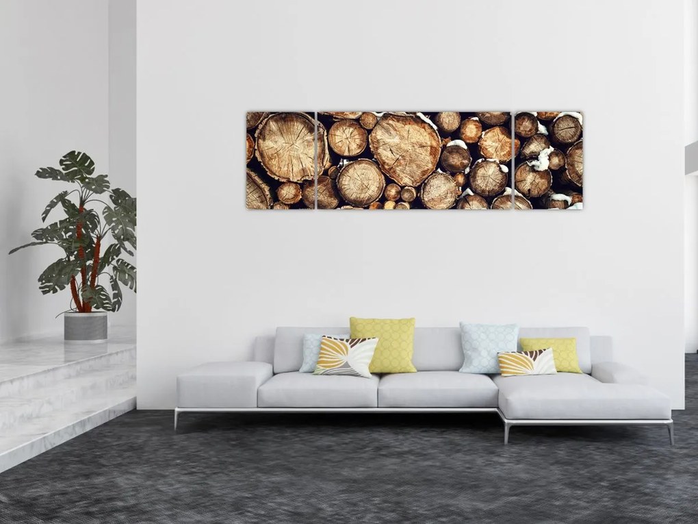 Obraz - Drewno w śniegu (170x50 cm)