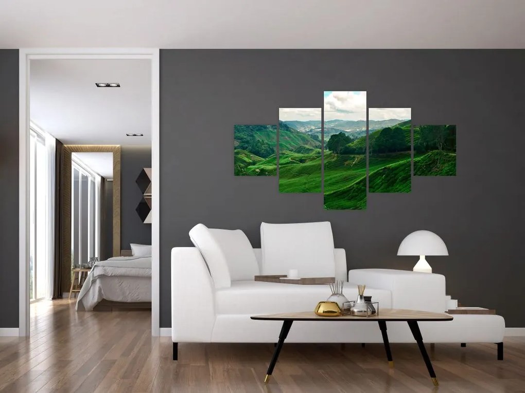 Obraz - Plantacje herbaty w Malezji (125x70 cm)