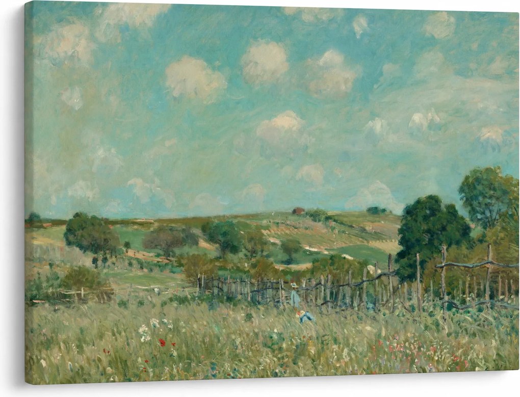 Obraz - Alfred Sisley, Meadow, reprodukcje (70x50 cm)