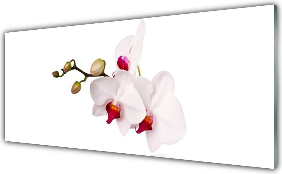 Panel Szklany Botaniczna Elegancja Storczyka