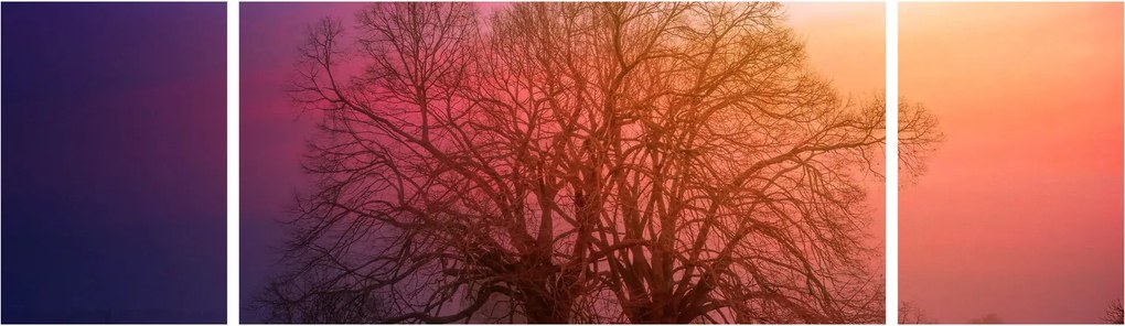 Obraz drzew we mgle (170x50 cm)