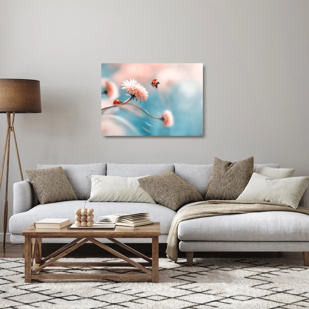 Obraz na szkle - Biedronka na kwiatku (70x50 cm)