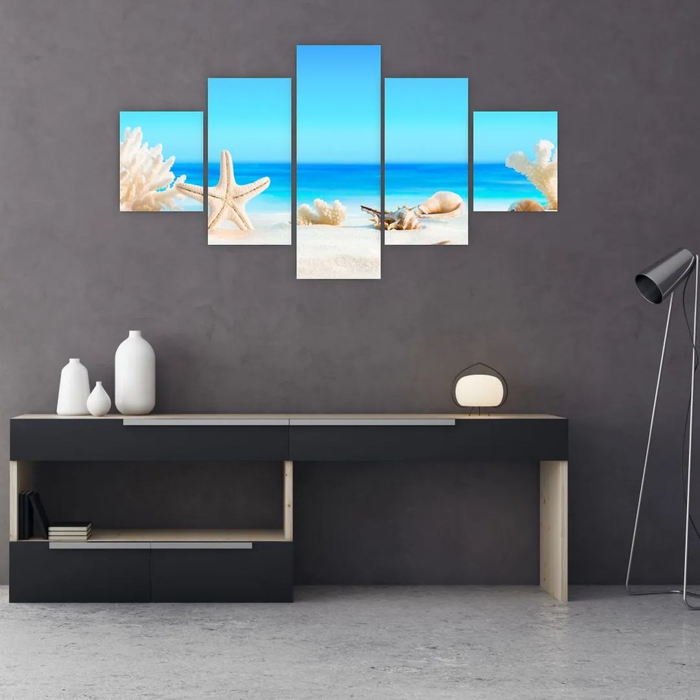 Obraz - Martwa natura z muszelkami (125x70 cm)