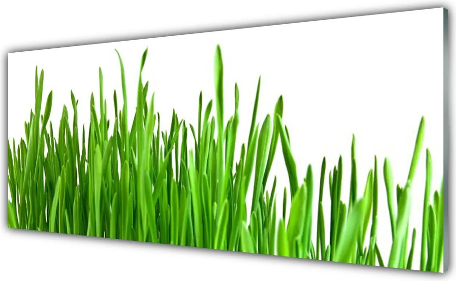 Panel Kuchenny Szum Traw Na Wietrze