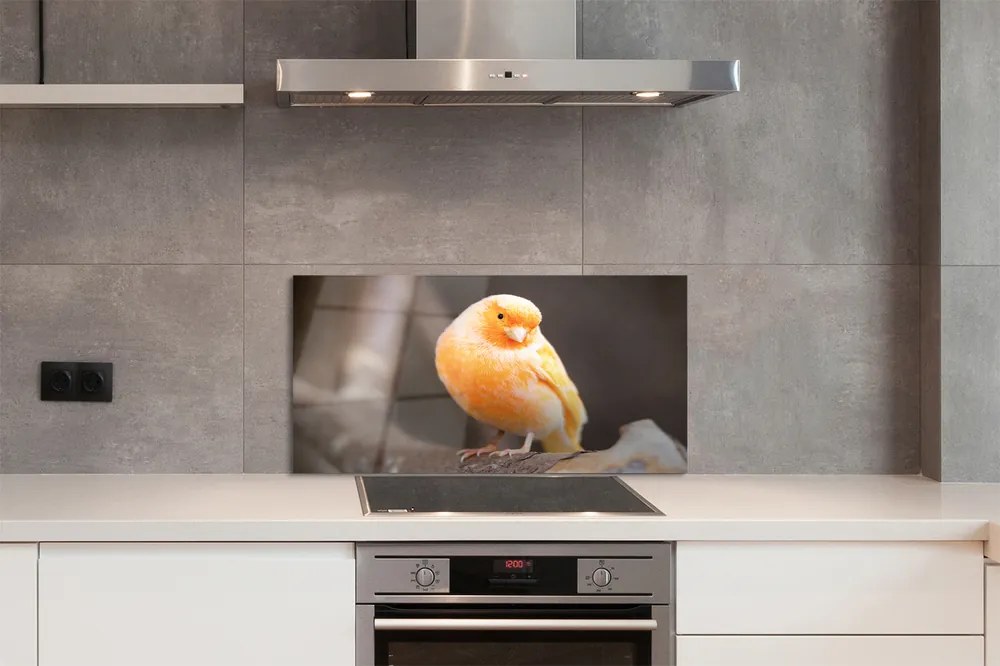 Panel szklany do Kuchni Papuga na Suchej Gałęzi