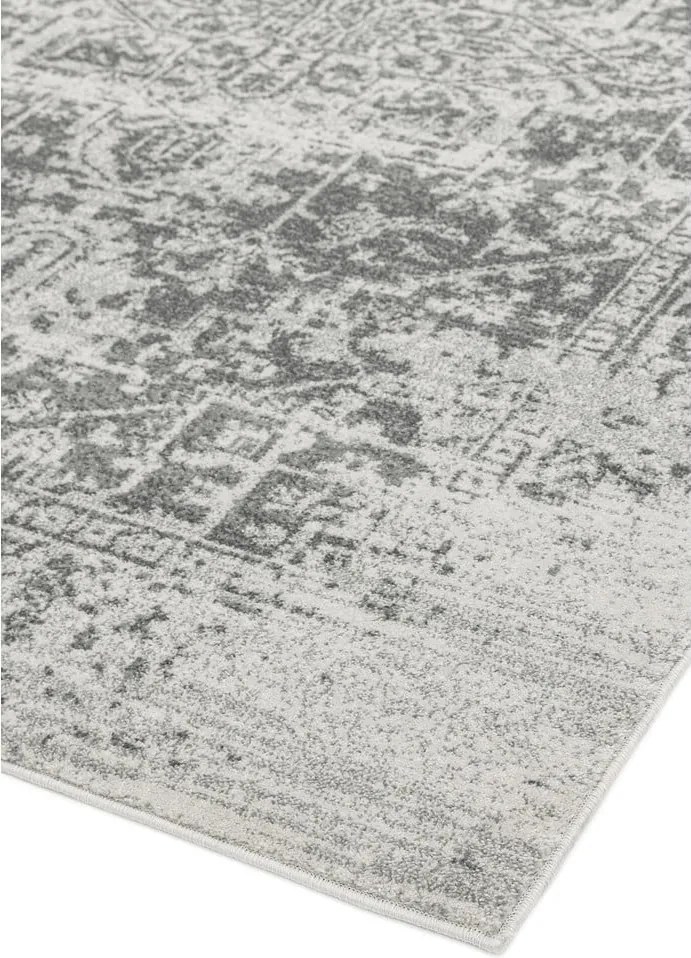 Szary dywan 80x150 cm Nova – Asiatic Carpets