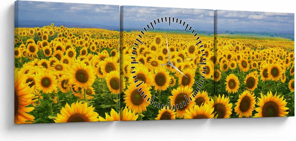 Obraz pola słoneczników (z zegarem) (90x30 cm)