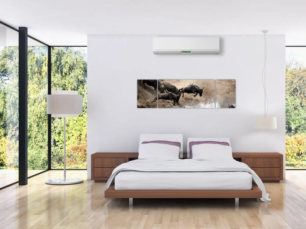Obraz - Stado antylop gnu (170x50 cm)