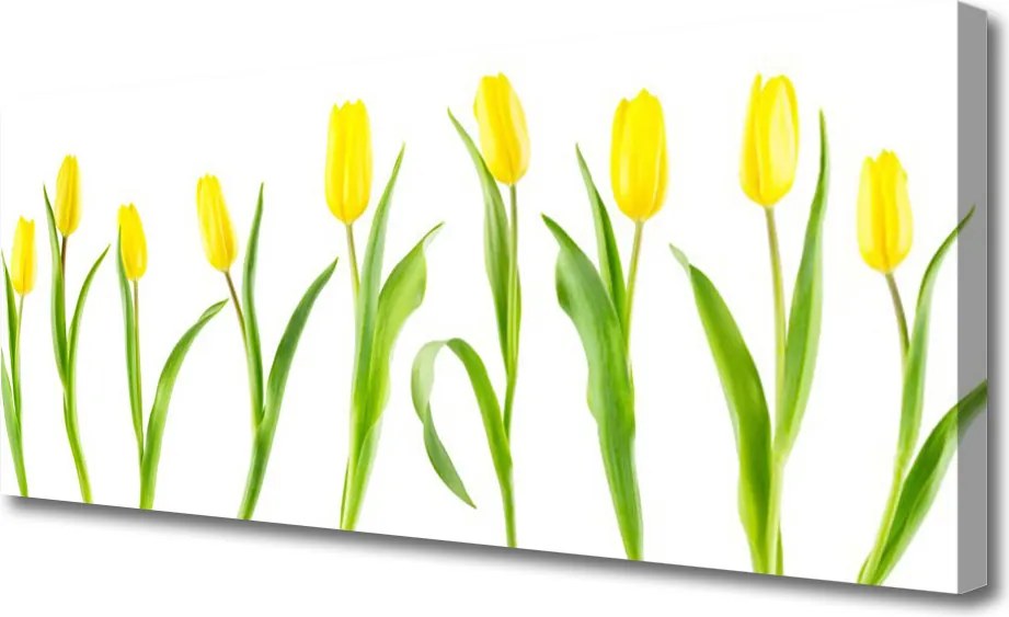 Obraz canvas na ścianę Słoneczne Żółte Tulipany
